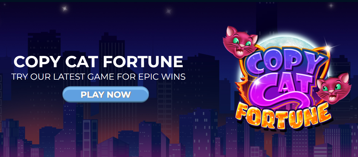 Use the Punt Casino coupon code CATFORTUNE to claim a 50% deposit bonus every day at Punt.