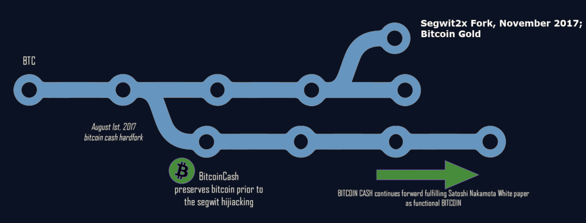 The Bitcoin hard fork in 2017 gave birth to the Bitcoin Cash cryptocurrency.