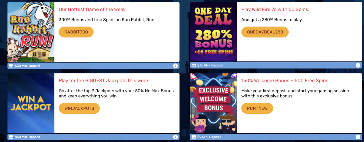 Punt Casino offers all its players daily bonuses and free spins.