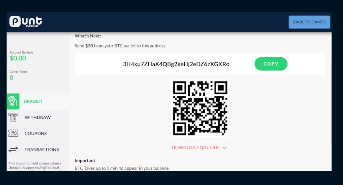 Copy and paste the Bitcoin address from the cashier into your crypto wallet.